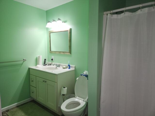 1788 W Beaver Rd, Bitely, MI 49309 - full bath with toilet, vanity, baseboards, and a shower with shower curtain