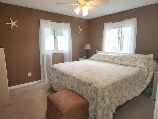 1788 W Beaver Rd, Bitely, MI 49309 - bedroom with multiple windows, light carpet, ceiling fan, and baseboards