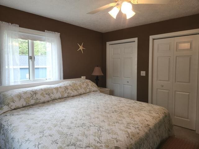 1788 W Beaver Rd, Bitely, MI 49309 - bedroom with two closets and a ceiling fan