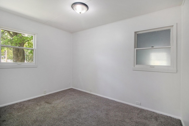 carpeted empty room featuring baseboards and ornamental molding