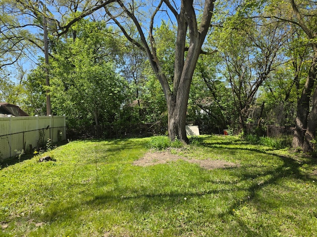 8845 Faust Ave, Detroit, MI 48228 - view of yard
