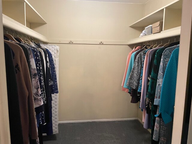 5250 Hardwoods Dr, West Bloomfield, MI 48323 - spacious closet with carpet