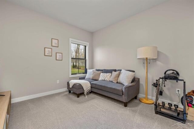 12405 Northway Pkwy, Freeland, MI 48623 - carpeted living room with baseboards