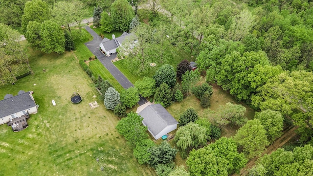 7512 Trophy Ct, Grass Lake, MI 49240 - aerial view of property's location