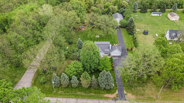 7512 Trophy Ct, Grass Lake, MI 49240 - aerial view