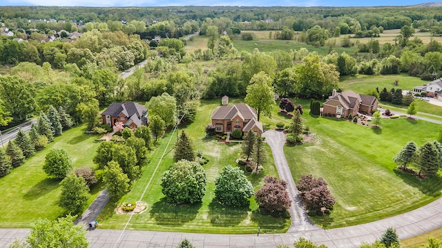 9968 Tuscany Valley Way S, Lyon, MI 48178 - aerial view