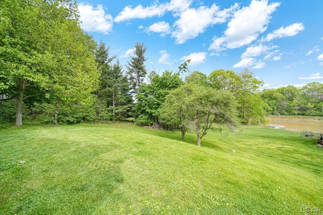 3224 Thornhill Dr, Adrian, MI 49221 - view of grassy yard featuring a water view