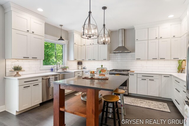 6326 Eaglewood Dr, Hudsonville, MI 49426 - kitchen featuring wall chimney range hood, stainless steel appliances, dark wood-type flooring, a sink, and backsplash