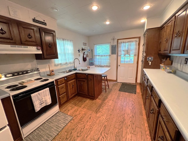 25722 Rainbow Dr, Sturgis, MI 49091 - kitchen with under cabinet range hood, range with electric stovetop, a peninsula, light wood-type flooring, and recessed lighting
