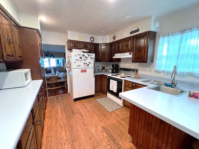 25722 Rainbow Dr, Sturgis, MI 49091 - kitchen with white appliances, light wood-style floors, under cabinet range hood, light countertops, and dark brown cabinets