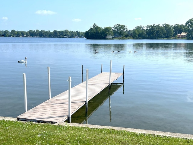25722 Rainbow Dr, Sturgis, MI 49091 - dock with a water view