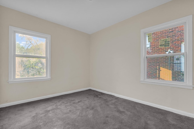 13575 Rutherford St, Detroit, MI 48227 - carpeted spare room with baseboards and plenty of natural light