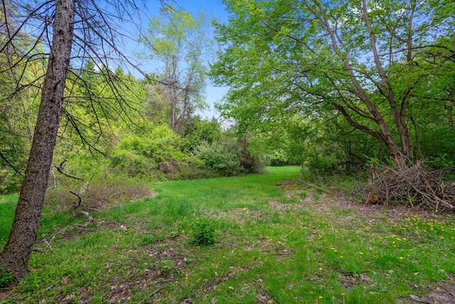 7642 Jordan Rd, Yale, MI 48097 - view of yard with a wooded view