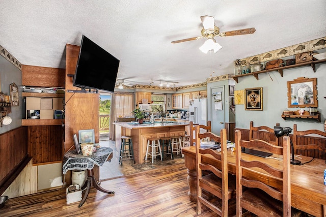 dining space with light wood-style flooring, a ceiling fan, a textured ceiling, and track lighting