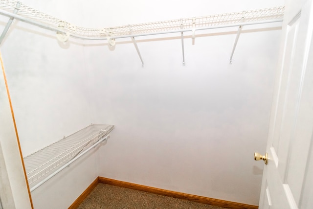 4707 Mount Morris Rd, Columbiaville, MI 48421 - spacious closet featuring carpet floors