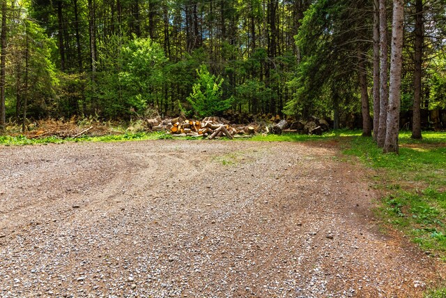 4707 Mount Morris Rd, Columbiaville, MI 48421 - view of street with a wooded view