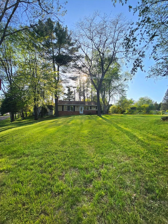 7400 Willow, Lexington, MI 48450 - view of green lawn