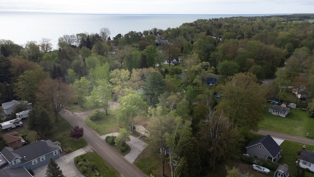 7400 Willow, Lexington, MI 48450 - aerial overview of property's location with a large body of water and a forest