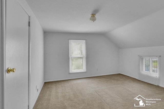 7316 Summerfield Rd, Lambertville, MI 48144 - additional living space featuring plenty of natural light, vaulted ceiling, carpet floors, and baseboards