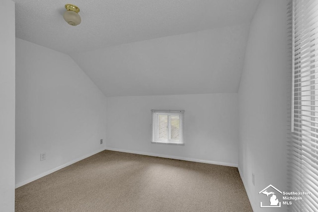 7316 Summerfield Rd, Lambertville, MI 48144 - bonus room featuring vaulted ceiling, carpet, and baseboards