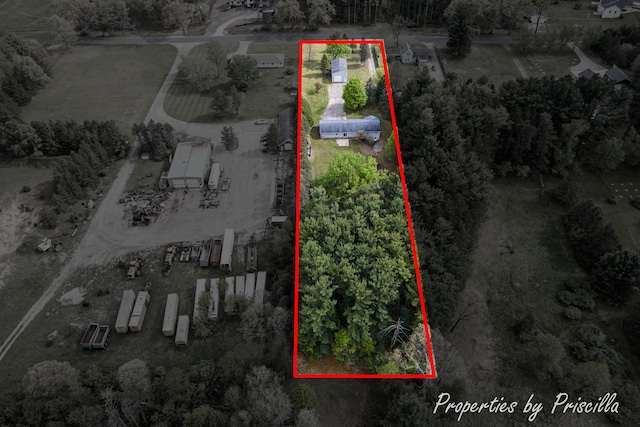 315 Hayes St NW, Comstock Park, MI 49321 - aerial view of sparsely populated area