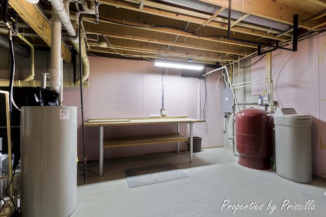 315 Hayes St NW, Comstock Park, MI 49321 - unfinished below grade area with water heater and a water softener