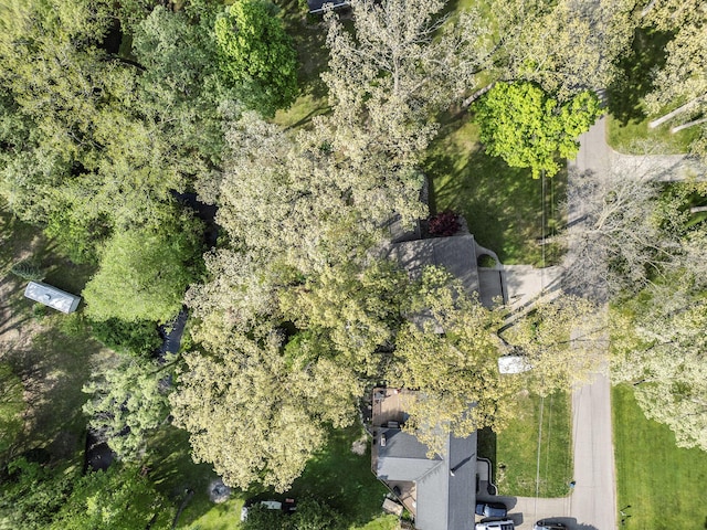 1514 Ferndale Blvd, Niles, MI 49120 - aerial view of property's location