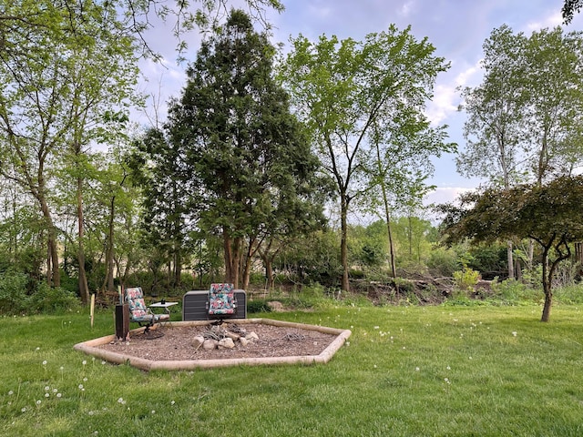 view of green lawn