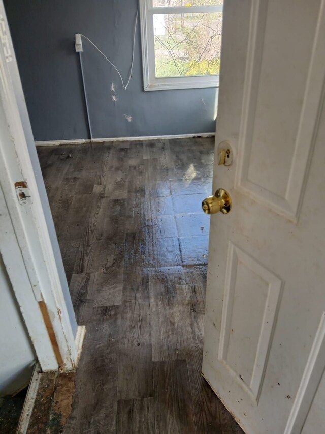 20000 Pelkey St, Detroit, MI 48205 - laundry room featuring wood-type flooring