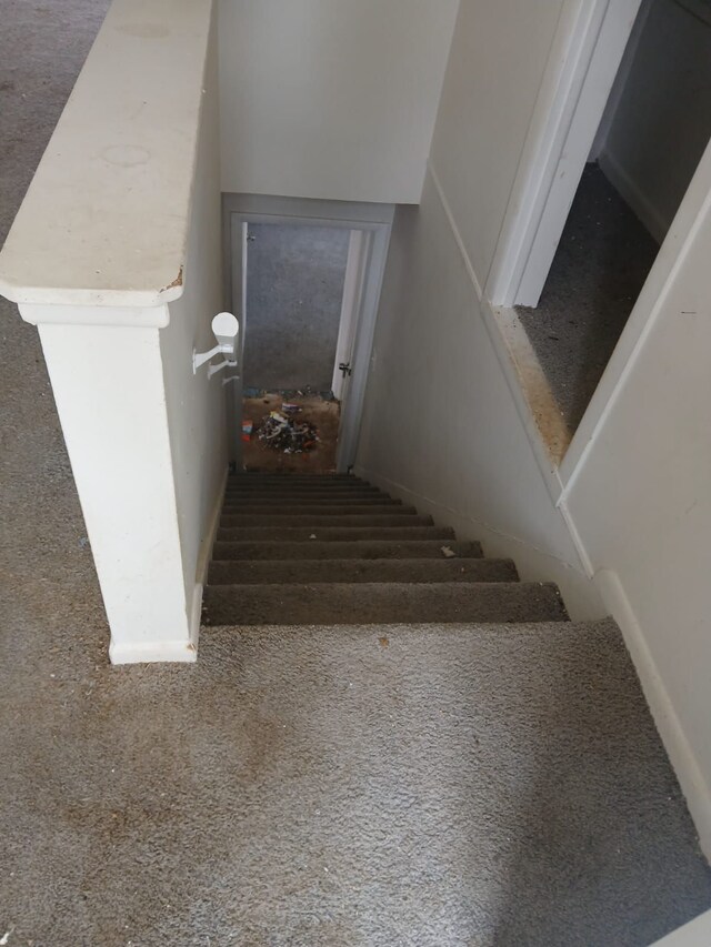 20000 Pelkey St, Detroit, MI 48205 - staircase with carpet floors