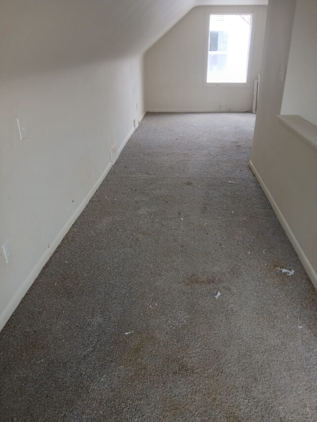 20000 Pelkey St, Detroit, MI 48205 - bonus room with carpet flooring, lofted ceiling, and baseboards