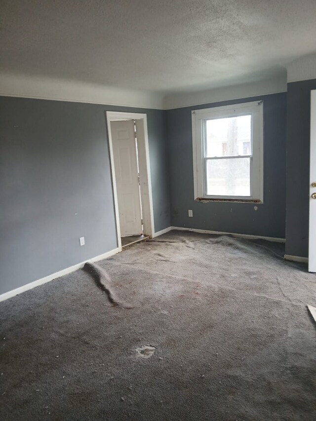 20000 Pelkey St, Detroit, MI 48205 - carpeted empty room featuring baseboards and a textured ceiling