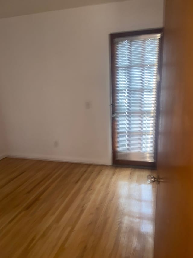 19121 Curtis St, Detroit, MI 48219 - empty room featuring light wood-style flooring