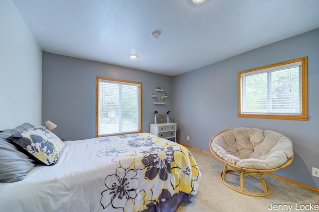 608 Porter Rd, Norton Shores, MI 49441 - bedroom featuring carpet, baseboards, and recessed lighting