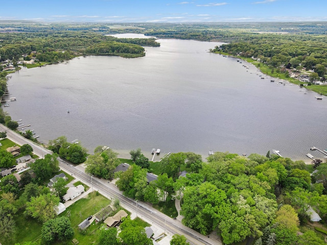 10706 Portage Rd, Portage, MI 49002 - bird's eye view of a nearby body of water and a forest