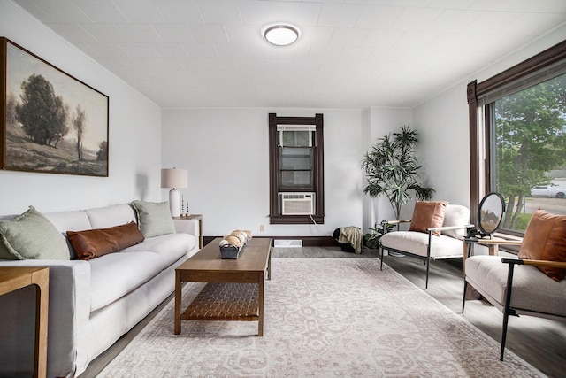 living area with wood finished floors