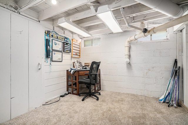 509 W W Burr Oak St, Centreville, MI 49032 - view of carpeted office space