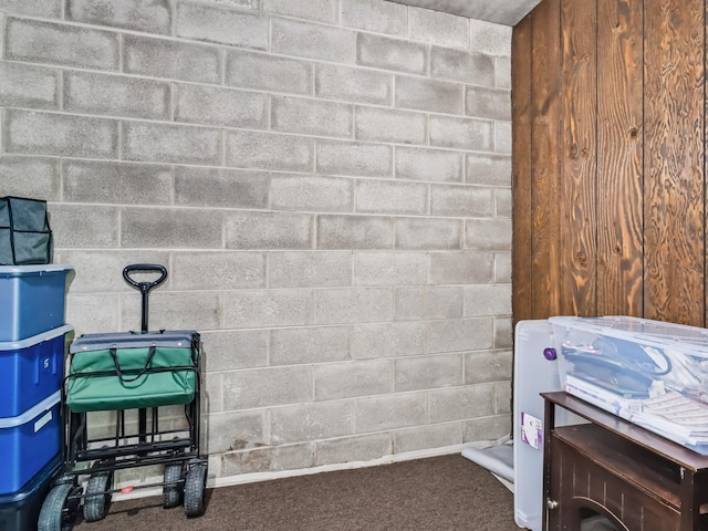 18061 University Park Dr Unit 46, Livonia, MI 48152 - view of storage area