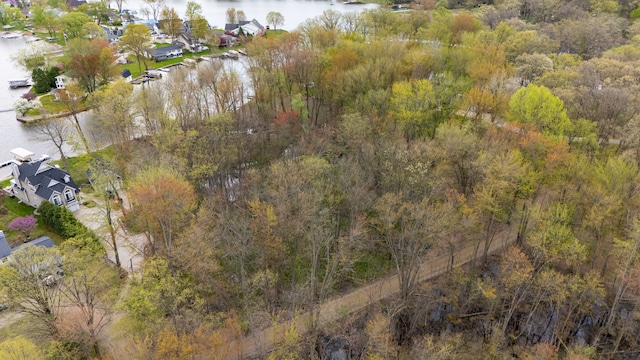 Dunlavy Ln, Whitmore Lake, MI 48189