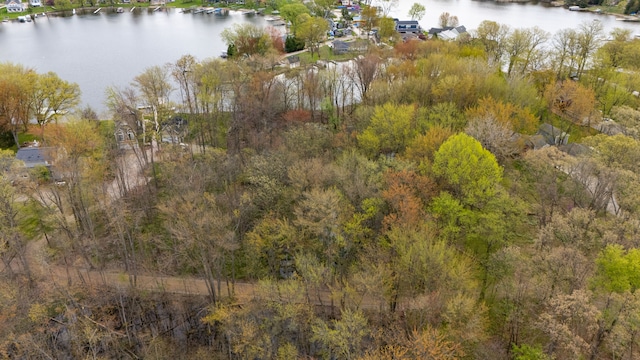 Dunlavy Ln, Whitmore Lake, MI 48189