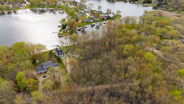 Dunlavy Ln, Whitmore Lake, MI 48189