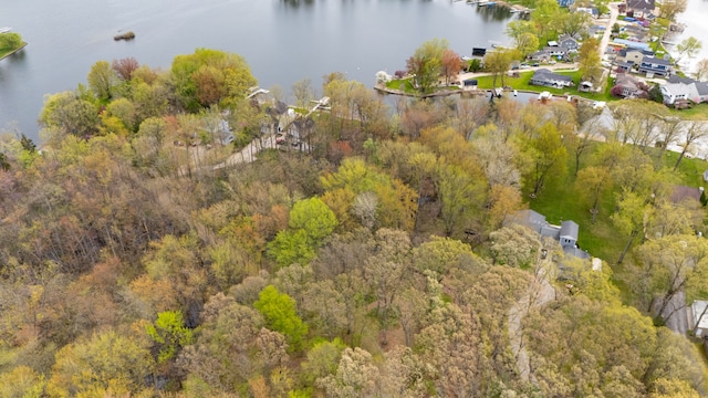 Dunlavy Ln, Whitmore Lake, MI 48189