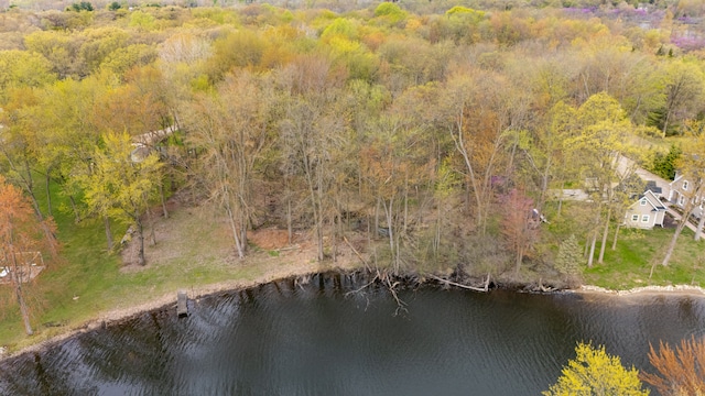 Dunlavy Ln, Whitmore Lake, MI 48189