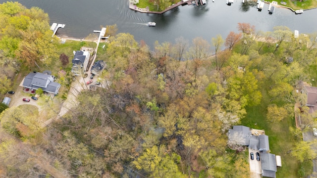 Dunlavy Ln, Whitmore Lake, MI 48189
