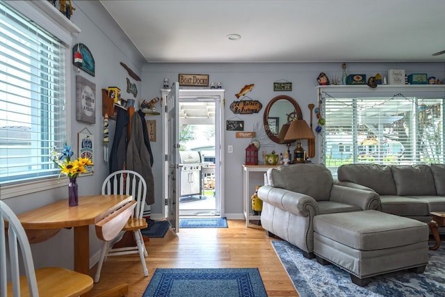 133 Loretta St, East China, MI 48054 - living room with plenty of natural light and light wood-style floors