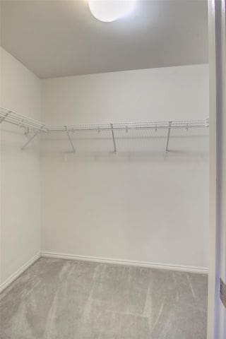 3986 Forester Blvd, Auburn Hills, MI 48326 - spacious closet with carpet floors