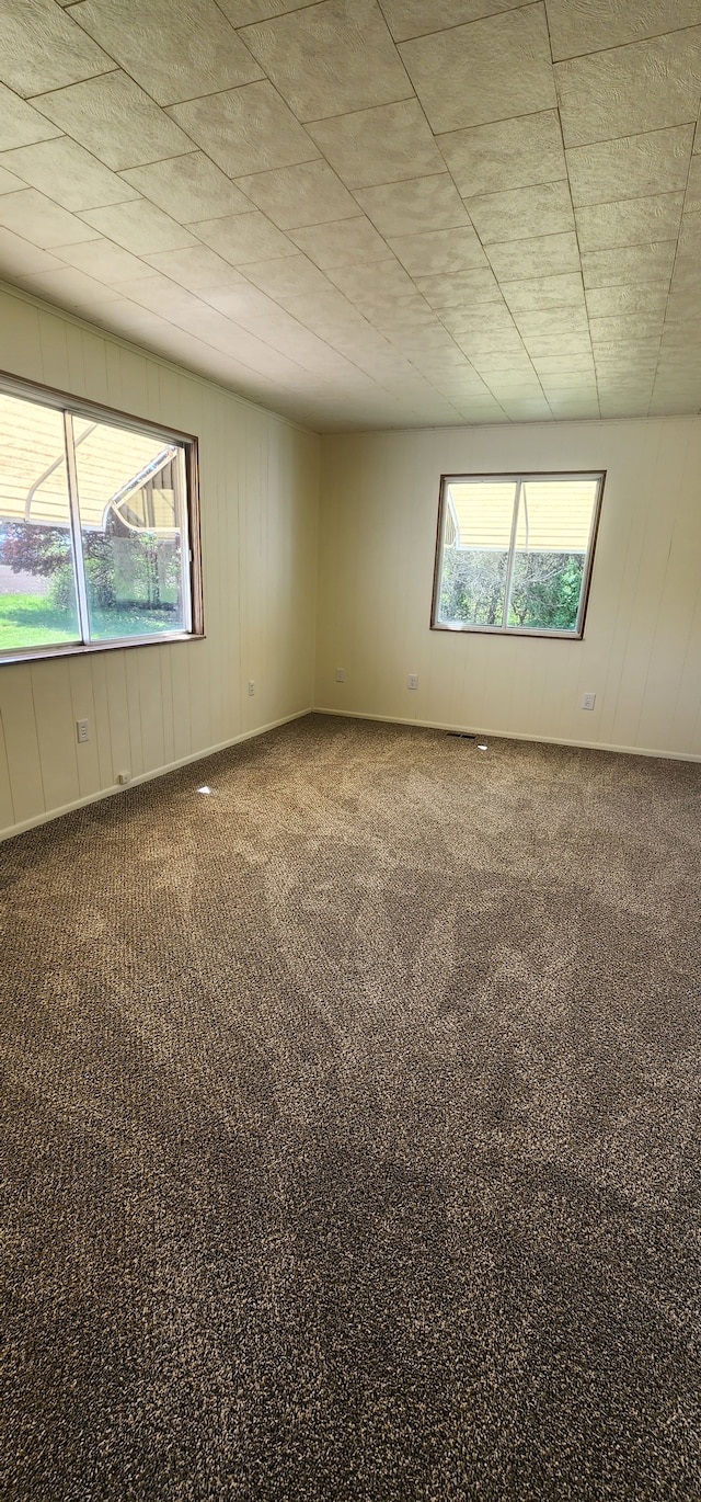 unfurnished room with carpet floors