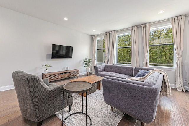 3328 Roseford Blvd, Ann Arbor, MI 48105 - living room featuring baseboards, wood finished floors, and recessed lighting