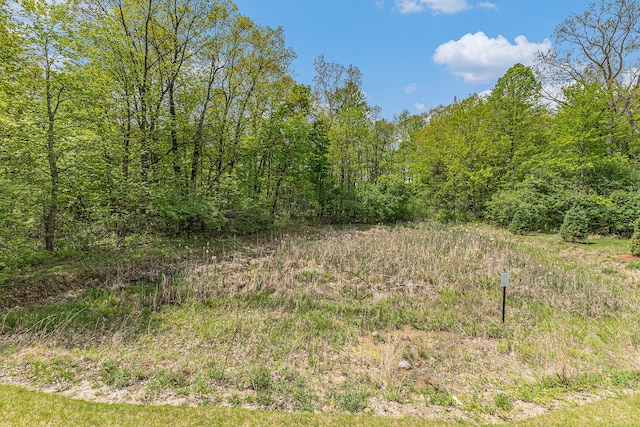 3328 Roseford Blvd, Ann Arbor, MI 48105 - view of wooded area