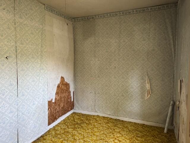 spare room featuring carpet floors and baseboards
